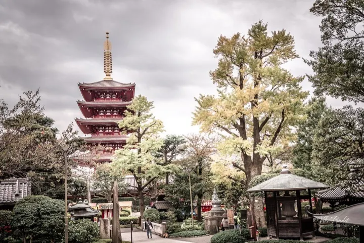 The Five-Story Pagoda, seen from the temple's rock garden.