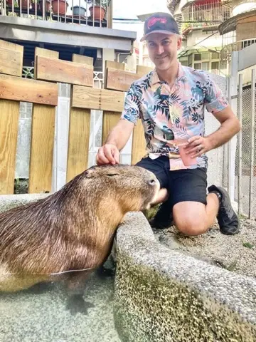 Visiting the capybaras in their pond enclosure at Capybara Knight.