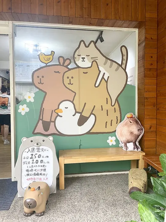 Rabbits and ducks, the capybaras' companion animals at the cafe.