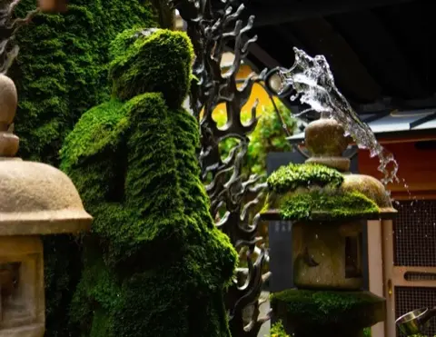 The moss-covered Mizukake Fudoson statue.