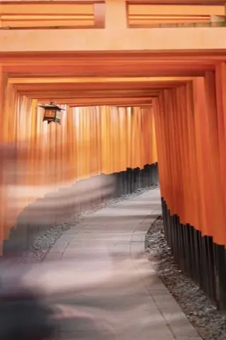 Entrance path where the torii gate trail splits.