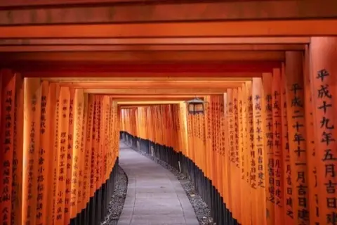 Looking back through the tightly packed torii tunnel.
