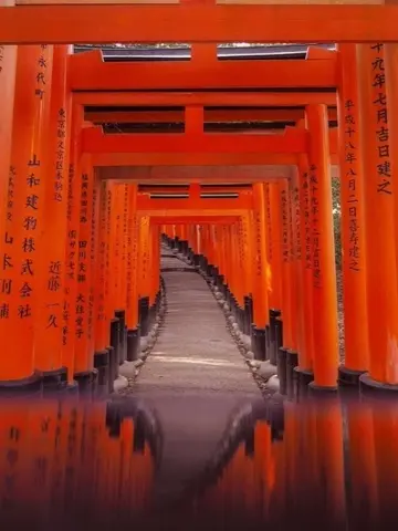 Torii gates climbing uphill.