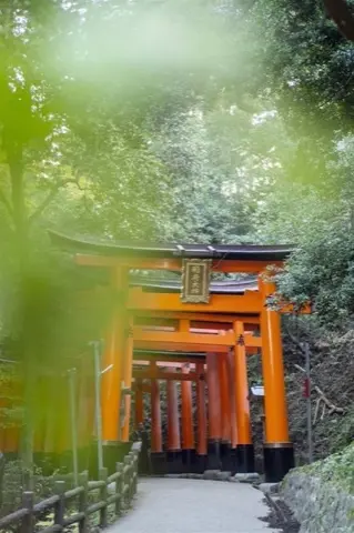 Vermilion gates blending into the forest greenery.