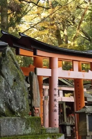 Staircase of gates toward Shin-ike Pond.