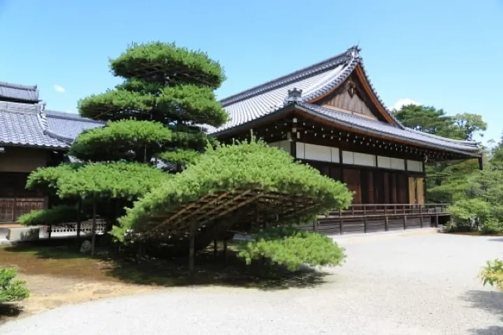 Rikushu-no-Matsu, a 600-year-old pine pruned into the shape of a ship, near the pavilion.