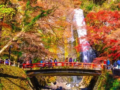 Minoh Falls, a 33m drop surrounded by autumn foliage.