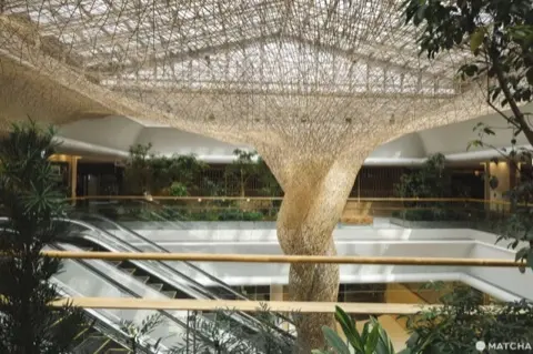 Sky Ring bamboo installation, Terminal 1's Shikisai Garden.