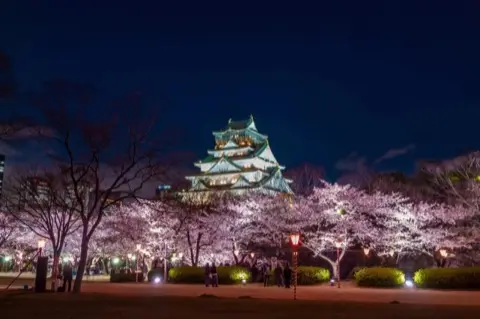 The castle illuminated at night.