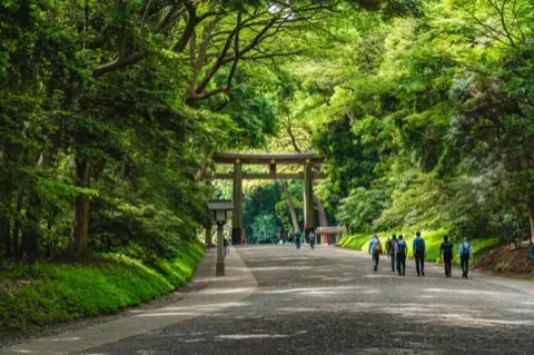 The forested approach to Meiji Jingu.