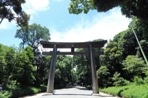 Japan's largest wooden torii gate at Meiji Jingu.