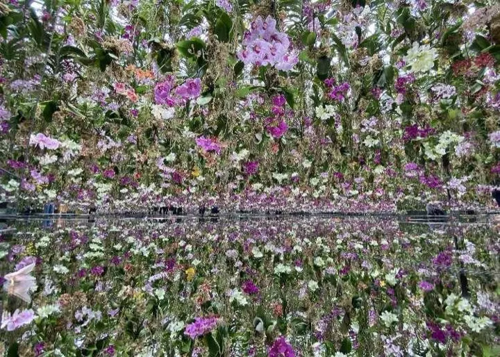 Floating Flower Garden, over 13,000 real orchids that rise up as visitors walk beneath them.