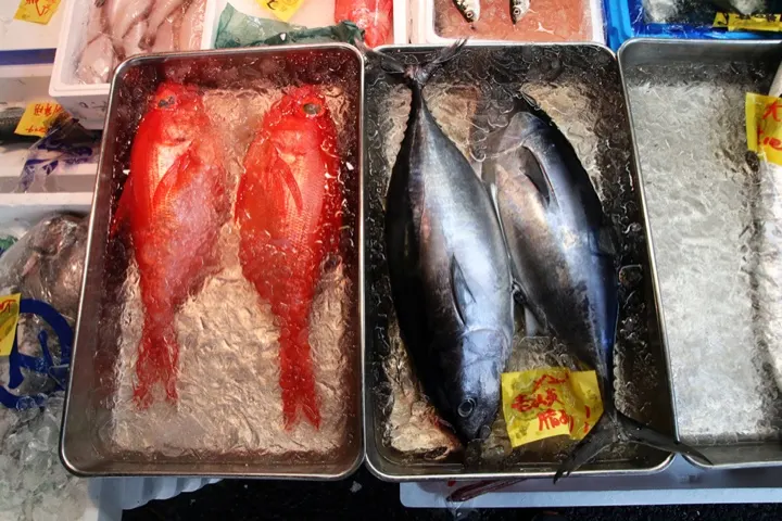 Fresh fish on display at one of the market's seafood stalls.