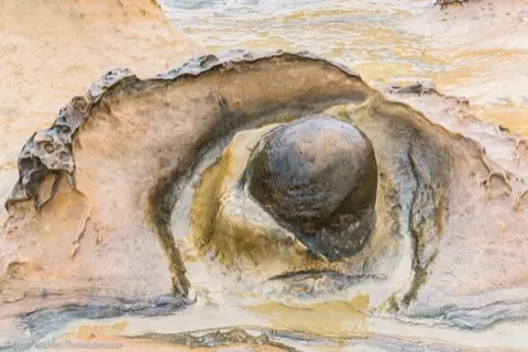Pearl Rock, another of Yehliu's formations.